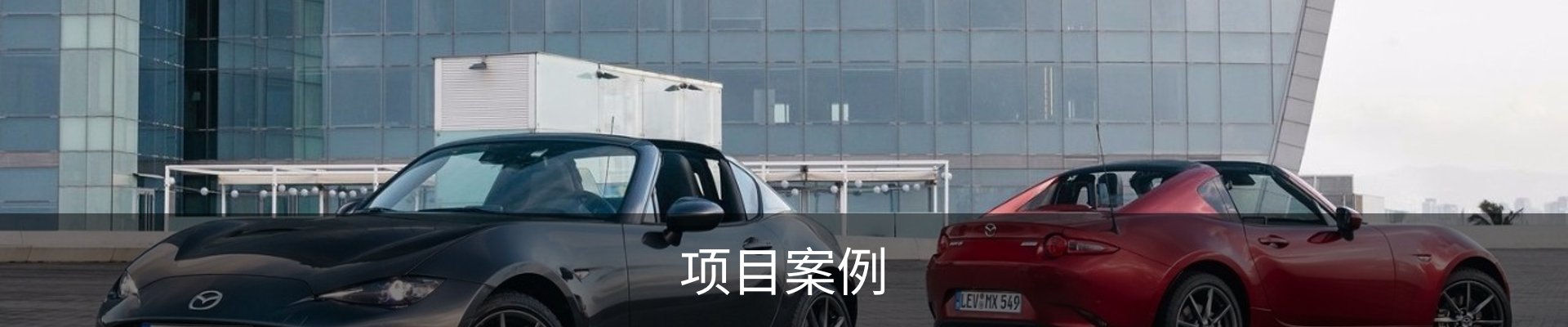 项目案例